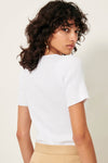 Claro Cotton Rib Knit Top